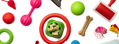 various-colorful-pet-accessories-still-life-concept